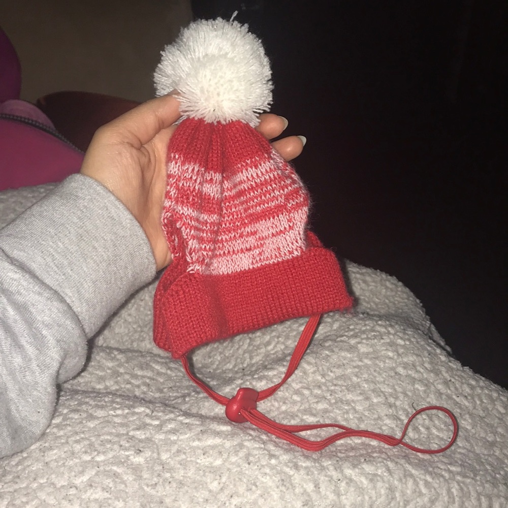 Puppy hat